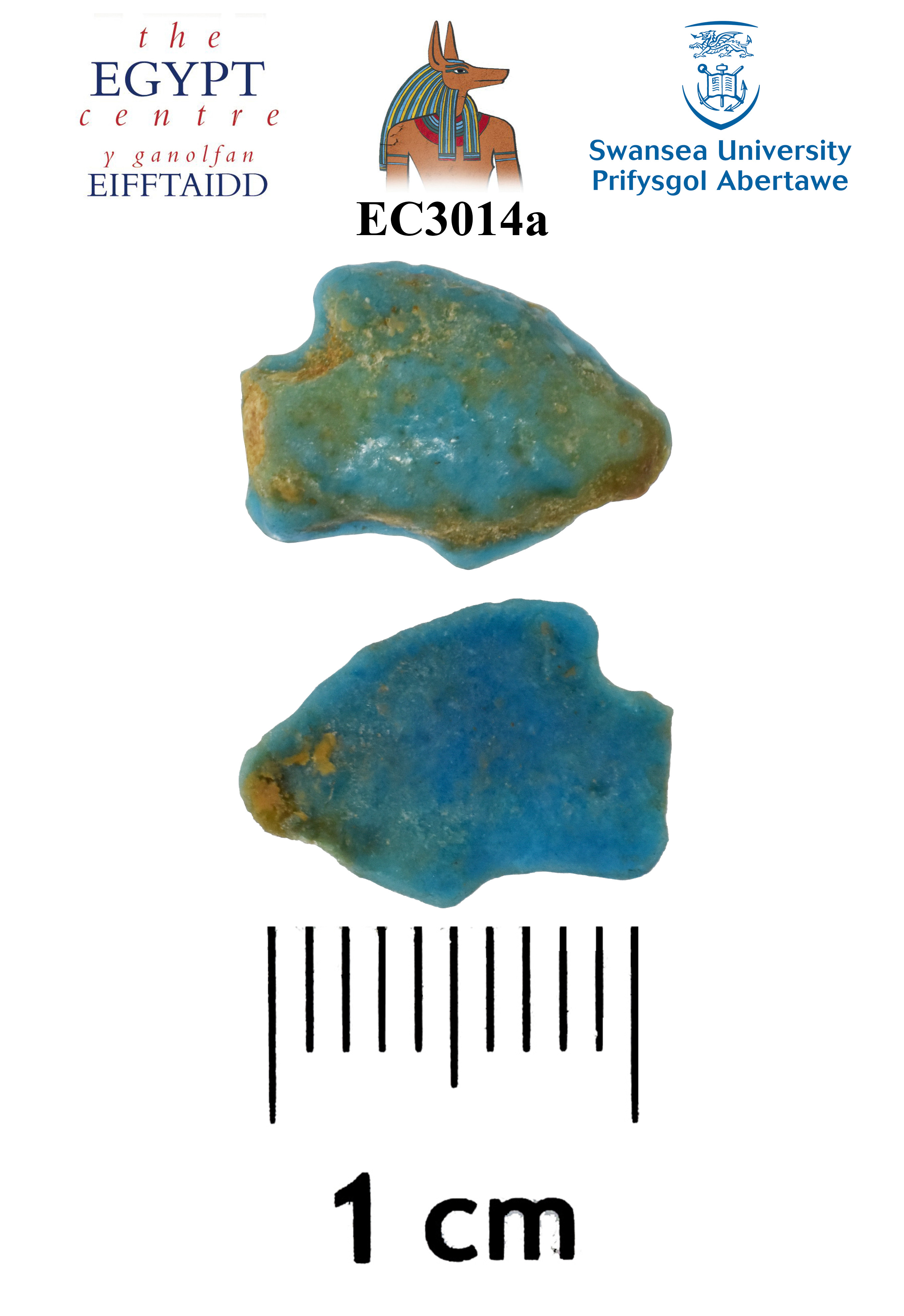 Image for: Fragment of a fish amulet